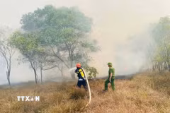Lực lượng chức năng nỗ lực dập tắt đám cháy rừng tràm tại khu vực giáp ranh xã Nam Cửa Việt và Triệu Cơ ngày 26/6. (Ảnh minh họa: TXVN phát)