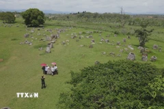 Điểm du lịch Cánh đồng Chum tại Xiengkhouang, Lào. (Ảnh: Bá Thành/TTXVN)