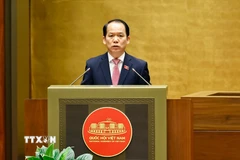 Chủ nhiệm Ủy ban Pháp luật và Tư pháp của Quốc hội Hoàng Thanh Tùng - Đại diện Ủy ban dự thảo sửa đổi, bổ sung một số điều của Hiến pháp năm 2013 trình bày Báo cáo giải trình, tiếp thu ý kiến về sửa đổi, bổ sung một số điều của Hiến pháp năm 2013. (Ảnh: Doãn Tấn/TTXVN)