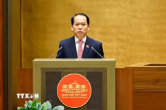 Chủ nhiệm Ủy ban Pháp luật và Tư pháp của Quốc hội Hoàng Thanh Tùng - Đại diện Ủy ban dự thảo sửa đổi, bổ sung một số điều của Hiến pháp năm 2013 trình bày Báo cáo giải trình, tiếp thu ý kiến về sửa đổi, bổ sung một số điều của Hiến pháp năm 2013. (Ảnh: Doãn Tấn/TTXVN)