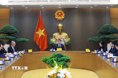 Thủ tướng Lê Minh Hưng điện đàm với Thủ tướng Hà Lan Rob Jetten. (Ảnh: Dương Giang/TTXVN)