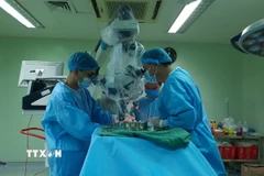 Ảnh minh họa. (Nguồn: TTXVN)