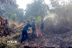 Hiện trường vụ cháy. (Ảnh: TTXVN phát)