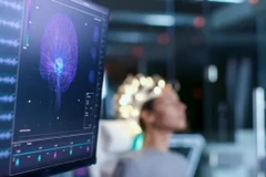 Ảnh minh họa. (Nguồn: Shutterstock)