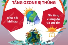 Lỗ thủng tầng Ozone và hệ lụy khôn lường cho sự sống
