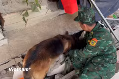 Chó nghiệp vụ Việt Nam phát hiện vị trí nguồn hơi. (Ảnh: TTXVN)