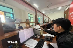 Ảnh minh họa. (Ảnh: Tiến Vĩnh/TTXVN)