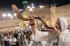 Nghi thức trung tâm trong Rosh Hashanah là việc thổi shofar – tù và làm từ sừng cừu đực, vào mỗi buổi sáng (trừ ngày Sabbath), như một hồi chuông thức tỉnh tâm linh, mời gọi con người hướng về sự thay đổi và làm mới bản thân. (Ảnh: TTXVN phát)