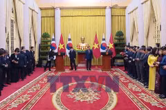 Việt Nam-Hàn Quốc hướng tới hợp tác công nghệ cao, AI và hạ tầng thế hệ mới