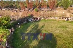 TP Hồ Chí Minh: Check-in cánh đồng cỏ lau săn Mặt Trời “trứng muối”