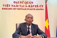 Đại sứ Việt Nam tại Saudi Arabia Đặng Xuân Dũng. (Ảnh: TTXVN phát)