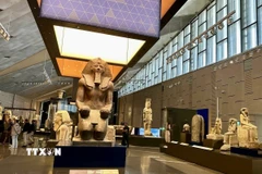 Du khách tham quan bên trong khu trưng bày của Đại bảo tàng Ai Cập. (Ảnh: Nguyễn Trường/TTXVN)