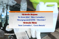 Hơn 100.000 đơn hàng mỹ phẩm giả đã được bán qua các tài khoản này trên Shopee và TiKToK.