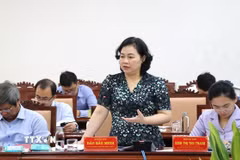 Bà Đào Bảo Minh, Trưởng Ban Nội chính Tỉnh ủy Phú Yên đóng góp ý kiến Văn kiện Đại hội. (Ảnh: Tường Quân/TTXVN)