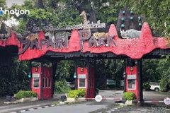 Safari World ở Bangkok bị đóng cửa điều tra sau vụ một nhân viên bị một đàn sư tử tấn công dẫn đến tử vong. (Ảnh: nationthailand)