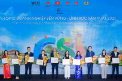 Đại diện Vinamilk (thứ 7 từ trái sang) nhận vinh danh tại Lễ công bố Doanh nghiệp Bền vững Việt Nam (CSI) 2025. (Ảnh: Ban tổ chức)