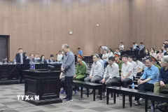 Cựu Thứ trưởng Bộ NN&PTNT Hoàng Văn Thắng trả lời thẩm vấn tại phiên tòa. (Ảnh: Kim Anh/TTXVN)