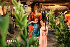 Chương trình "Tết Việt – Tết Phố" 2026 diễn ra từ ngày 17/1 đến ngày 17/3/2026 tại nhiều địa điểm trong khu phố cổ và khu vực hồ Hoàn Kiếm. (Ảnh: Thanh Tùng/TTXVN)