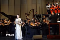 Một tiết mục nghệ thuật tại chương trình. (Ảnh: Phạm Kiên/TTXVN)