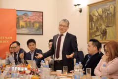 Giáo sư-Tiến sỹ Nguyễn Xuân Thính, trường Đại học TU Dortmund, Chủ tịch VGI, phát biểu tại buổi làm việc. (Ảnh: Thu Hằng/TTXVN)