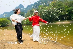 Du khách thích thú với những cánh bướm mỏng manh. (Ảnh: Đức Phương/TTXVN)