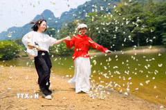 Du khách thích thú với những cánh bướm mỏng manh. (Ảnh: Đức Phương/TTXVN)