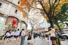 Nắng ấm quay trở lại miền Bắc. (Ảnh: Khánh Hòa/TTXVN)