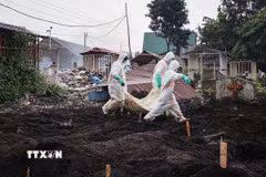 Nhân viên y tế chuyển các thi thể được tìm thấy tại Goma, CHDC Congo, ngày 5/2/2025. (Ảnh: THX/TTXVN)