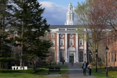 Bên trong khuôn viên Trường Đại học Harvard ở Cambridge, Massachusetts, Mỹ ngày 15/4/2025. (Ảnh: Reuters/TTXVN)
