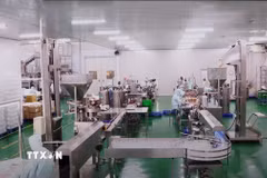 Công ty Cổ phần Chế biến hàng xuất khẩu Long An – LAFOOCO (thuộc Tập đoàn PAN) là doanh nghiệp nhà nước được cổ phần hóa đầu tiên của ngành điều cả nước. (Ảnh: Minh Hưng/TTXVN)
