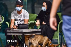 Ảnh minh họa. (Nguồn: AFP/ TTXVN)