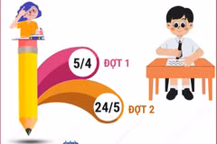 Đại học Quốc gia Thành phố Hồ Chí Minh tổ chức 2 đợt Đánh giá năng lực năm 2026