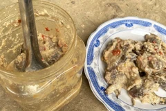 Đà Nẵng: Ba trẻ nhập viện nghi ngộ độc Botulinum sau khi ăn cá ủ chua