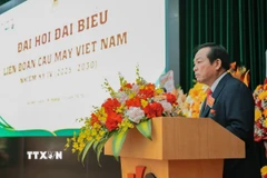 Ông Lê Hồng Tịnh, Chủ tịch Liên đoàn Cầu mây Việt Nam khóa 3 phát biểu khai mạc Đại hội. (Ảnh: Lê Đông/TTXVN)