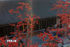 Hoa gạo nở đỏ rực tại chùa Tam Chúc, phường Tam Chúc, tỉnh Ninh Bình. (Ảnh: Hải Yến/TTXVN)