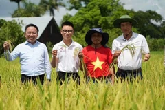 Bộ phim tài liệu "Hạt giống hạnh phúc" sẽ phát sóng song song tại Việt Nam và Cuba. (Ảnh: VTV)