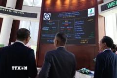 Nhà đầu tư theo dõi diễn biến cổ phiếu BSR trong phiên chào sàn đầu tiên trên HOSE. (Ảnh: Hứa Chung/TTXVN)