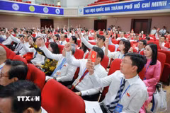 Các đại biểu biểu quyết thông qua dự thảo Nghị quyết Đại hội. (Ảnh minh họa. Thu Hoài/TTXVN)