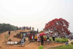 Du khách tham quan Di tích Đồi A1. (Ảnh: Xuân Tư/TTXVN)