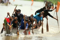 Giải đua ghe ngo mini có 14 người trên 1 ghe. (Ảnh: Duy Khương/TTXVN)