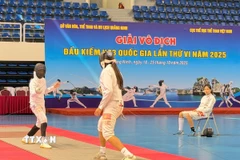 (Ảnh minh họa: Thanh Vân/TTXVN)