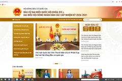 Trang thông tin điện tử bầu cử. (Ảnh chụp màn hình)