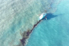 (Nguồn: KSLA News)