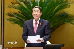 Phó Chủ tịch Quốc hội Nguyễn Đức Hải phát biểu. (Ảnh: Doãn Tấn/TTXVN)