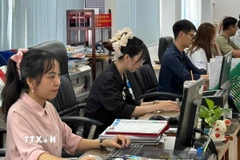 Công chức Thành phố Hồ Chí Minh thành thạo, chuyên nghiệp khi làm việc trên môi trường số. (Ảnh: Hữu Duyên/TTXVN)