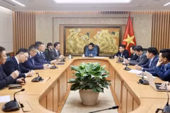 Phó Thủ tướng Nguyễn Chí Dũng tiếp đoàn công tác của Tập đoàn TCL do Tổng Giám đốc Vương Thành dẫn đầu. (Ảnh: VGP)
