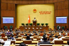 Kỳ họp thứ 10, Quốc hội khóa XV. (Ảnh: Doãn Tấn/TTXVN)