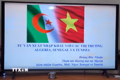 Thương vụ Việt Nam tại Algeria kiêm nhiệm Senegal và Tunisia đã tổ chức Phiên tư vấn xuất khẩu. (Ảnh: Mạnh Hùng/TTXVN)