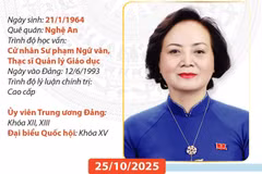 Chân dung tân Phó Thủ tướng Chính phủ Phạm Thị Thanh Trà