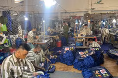 Công tác dạy nghề cho phạm nhân tại Trại giam Ninh Khánh, tỉnh Ninh Bình. (Ảnh: Hải Yến/TTXVN)